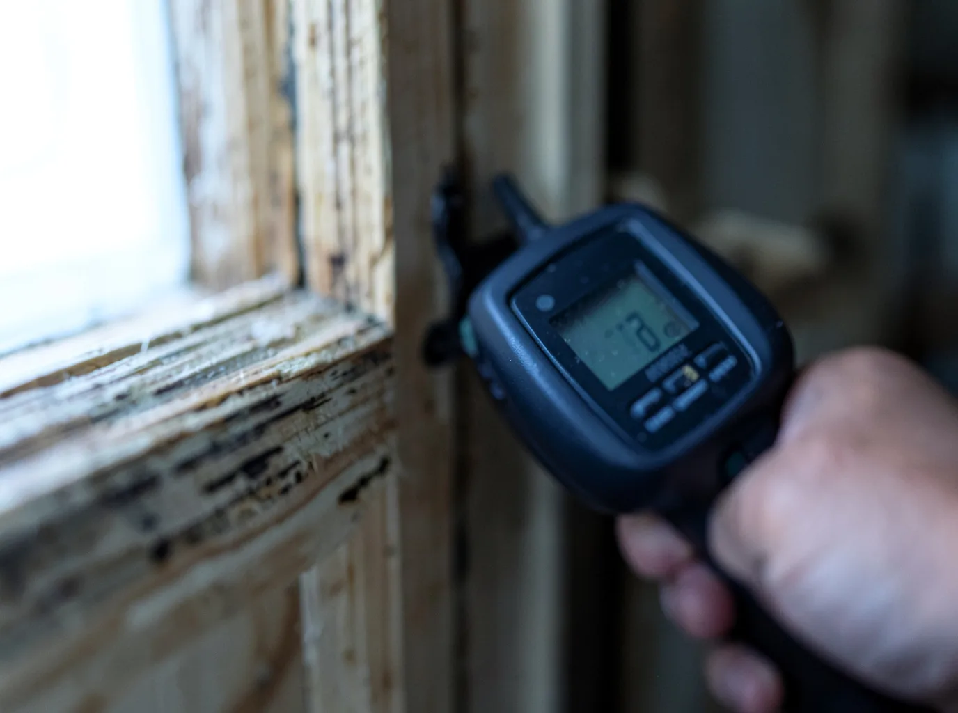Moisture Inspection And Documentation in Fountain, CO